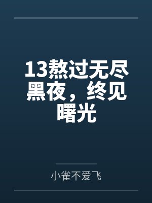 13熬过无尽黑夜,终见曙光 13熬过无尽黑夜,终见曙光