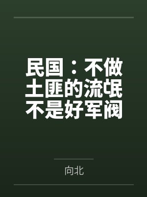 民国:不做土匪的流氓不是好军阀 民国:不做土匪的流氓不是好军阀